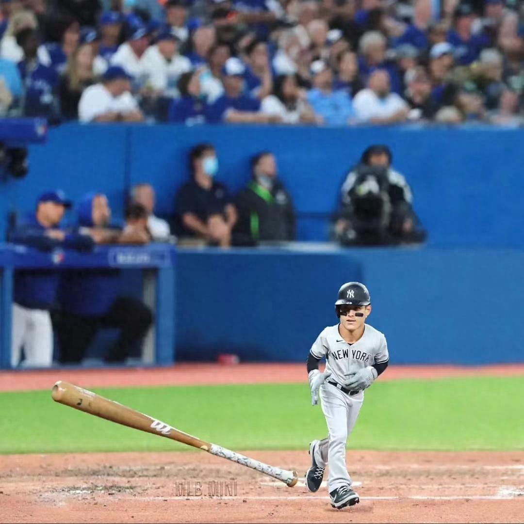 【WBC World Baseball Classic】In-depth Science · Baseball No.1 Position Alliance Matrix