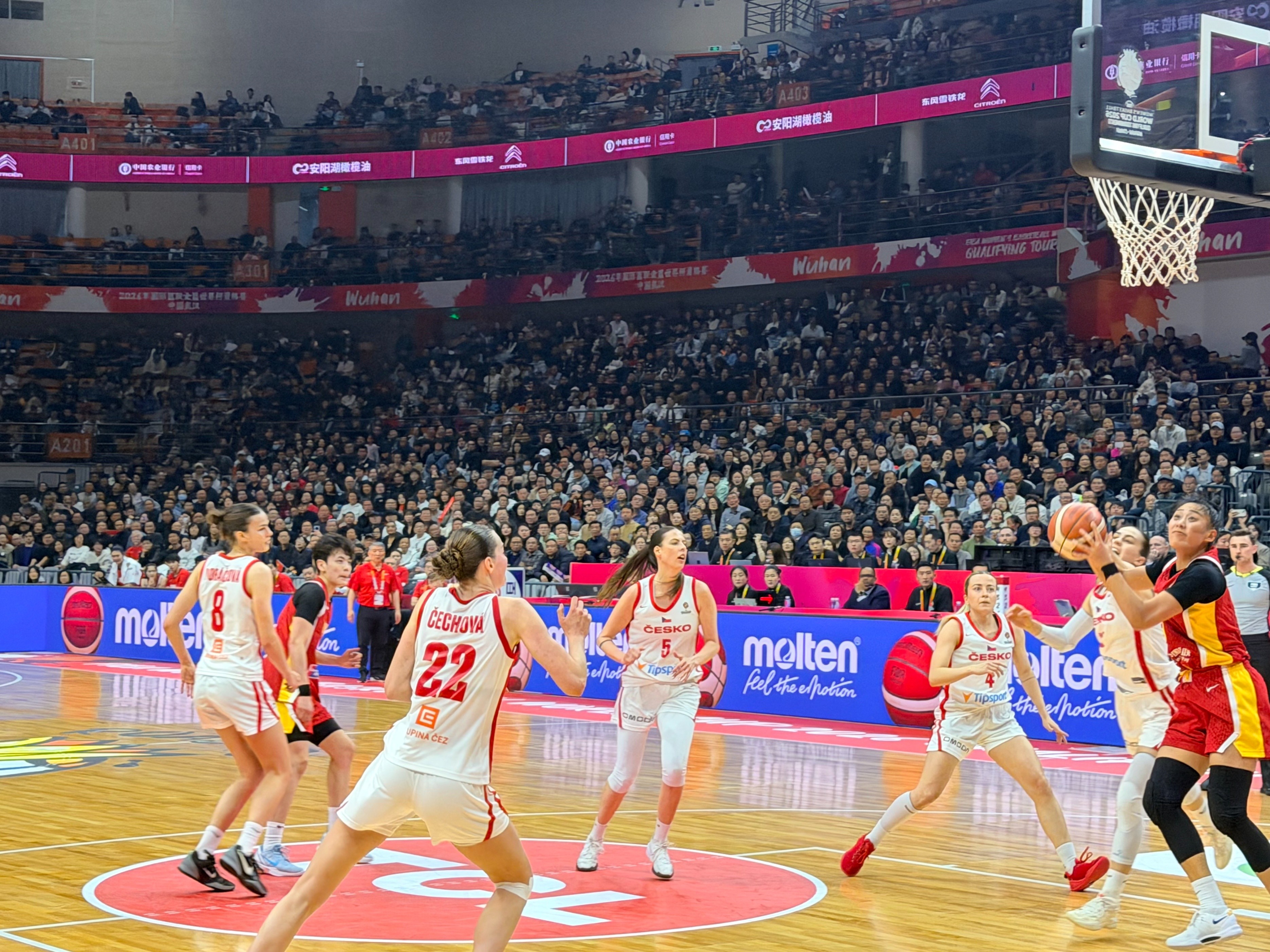 Early qualification for the World Cup! Wang Siyu leads with 14 points, 12 players score as Chinese women's basketball team defeats Czech Republic in World Cup qualifier