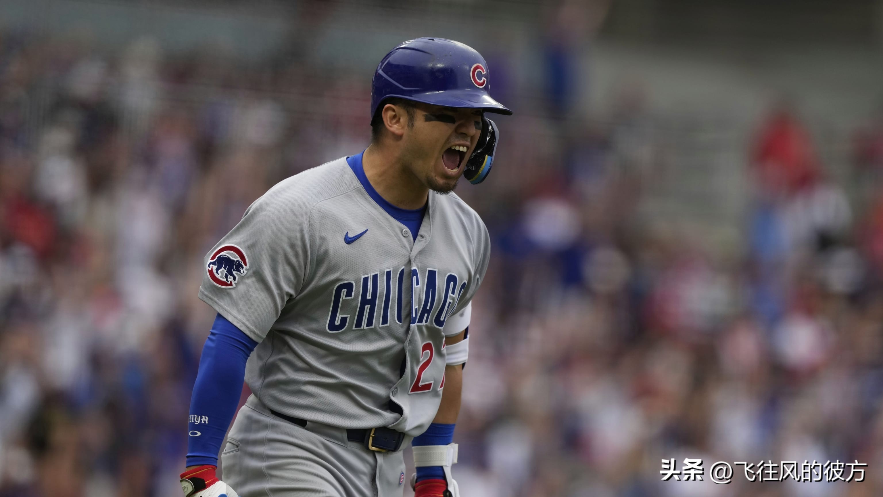 Makoto Suzuki also scored three points to set the situation for the Cubs to counterattack and capture the Reds in five innings to win the series