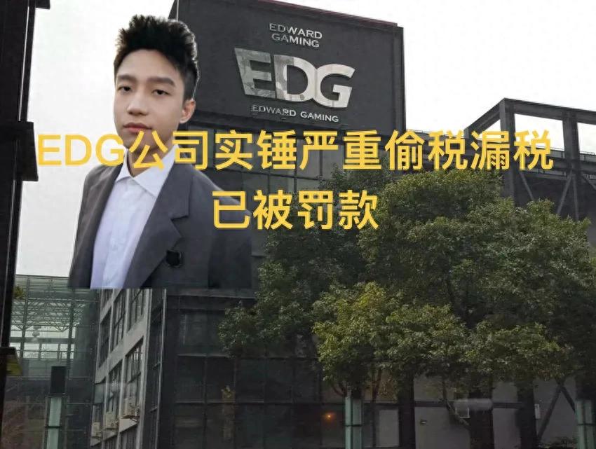 "EDG company caught and fined for tax evasion" went viral, with fabricated expenses on the books, leaving Clearlove stunned