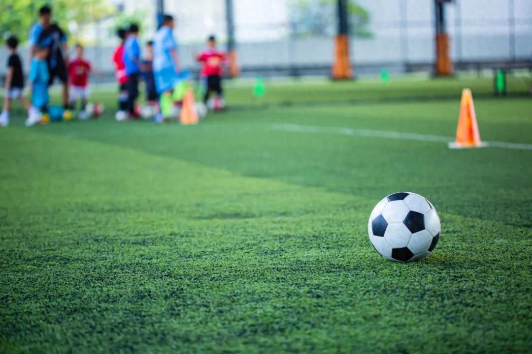 Full Analysis of the Football Revitalization Strategy in the "15th Five-Year Plan" for Building a Sports Powerhouse