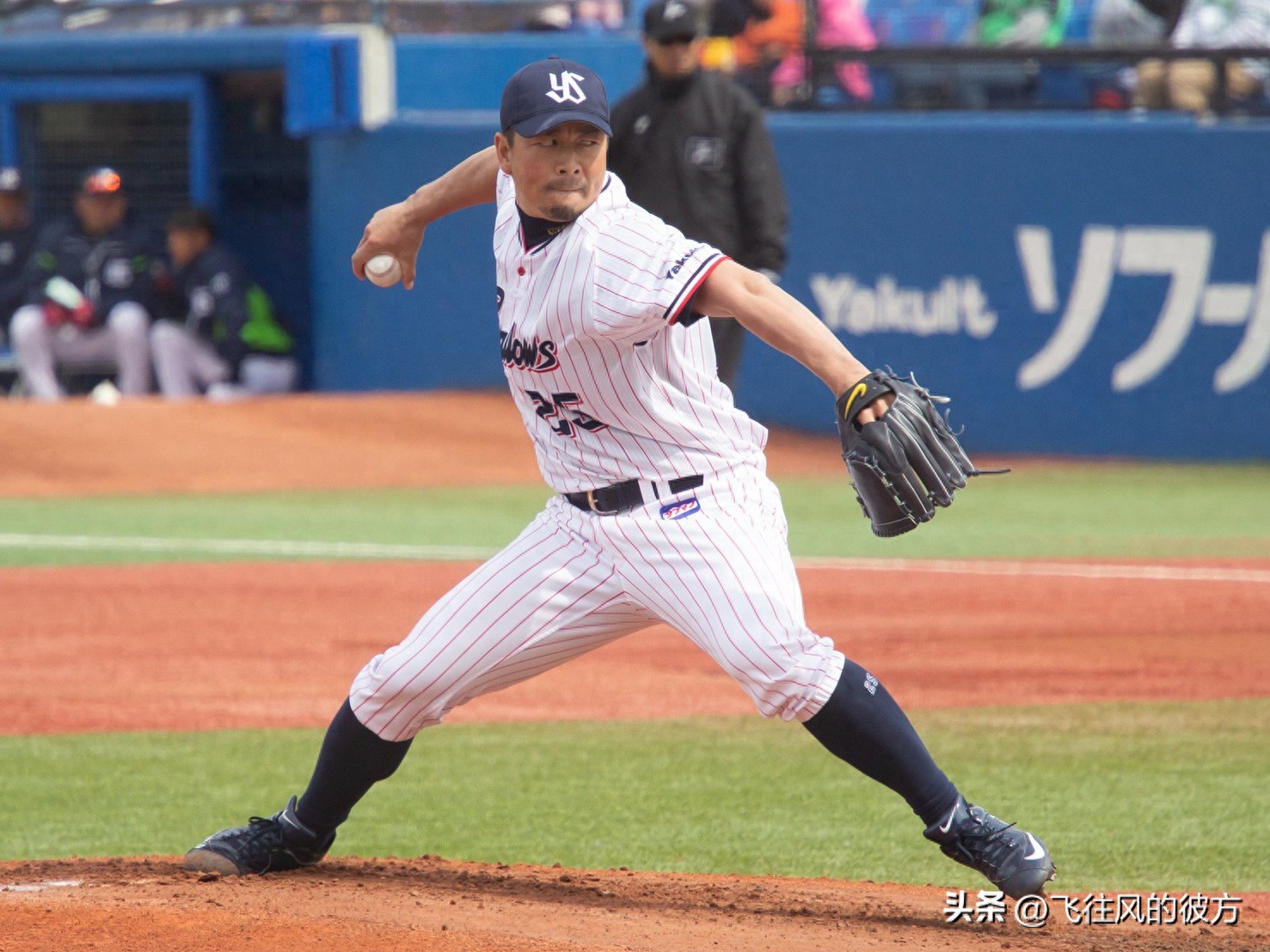 大谷翔平術後依然神乎其技！經歷過10次手術的日職名投「令人難以置信」