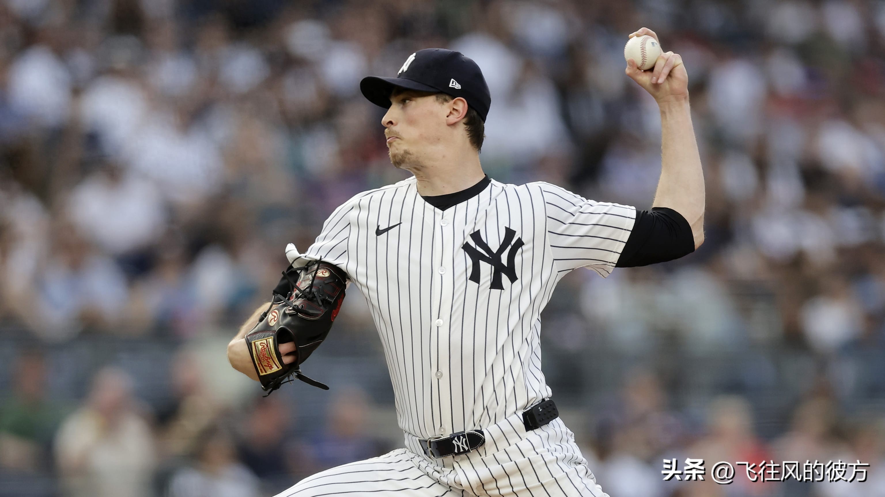 Fried shakes off the gloom of the first loss of the season Today, a 7K good shot helped the Yankees win