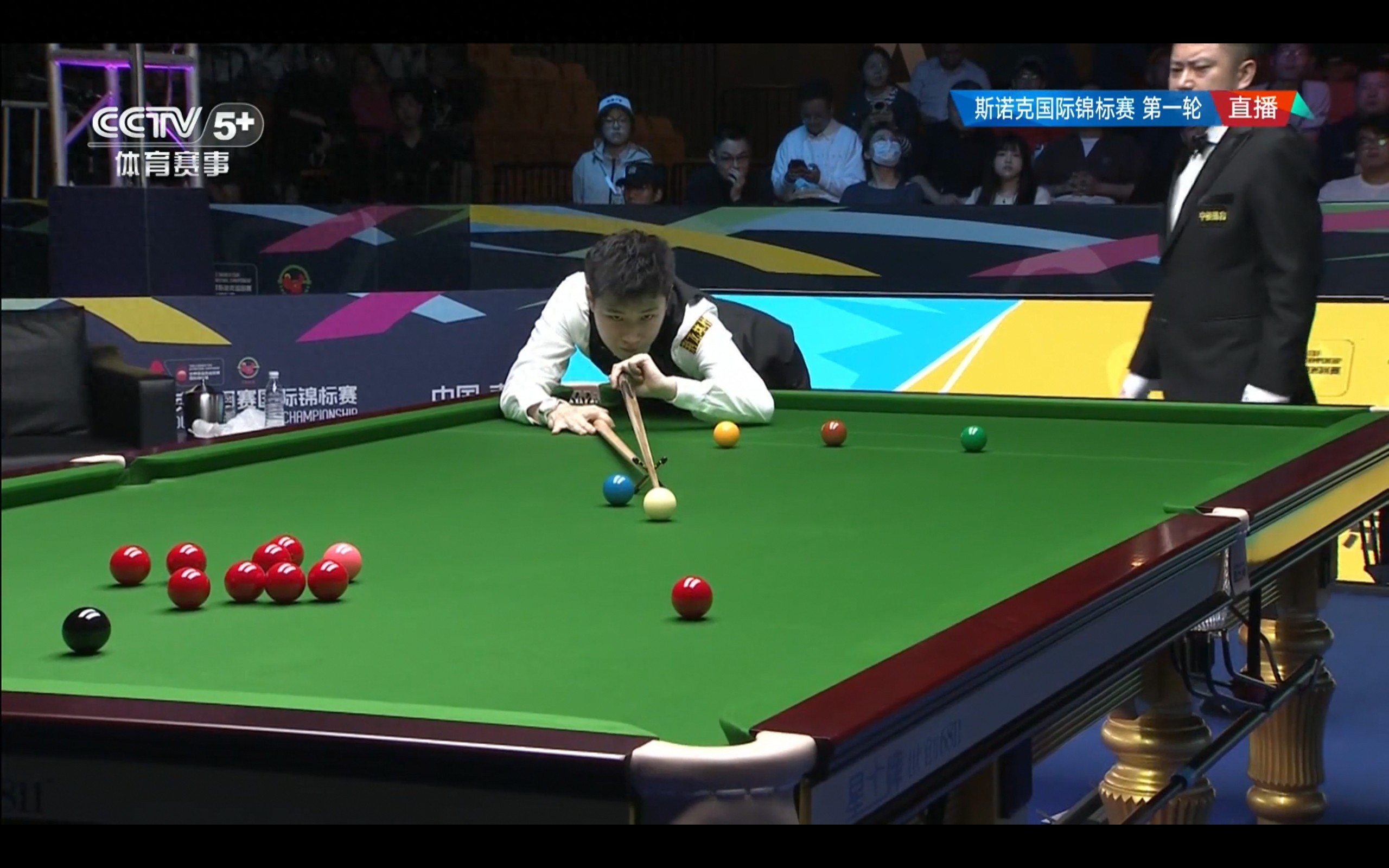 Latest update on the Snooker National Championship: Chinese players have 6 wins, 3 losses, and 2 matches pending; Zhao Xintong and Zhou Yuelong win; schedule for tonight included.