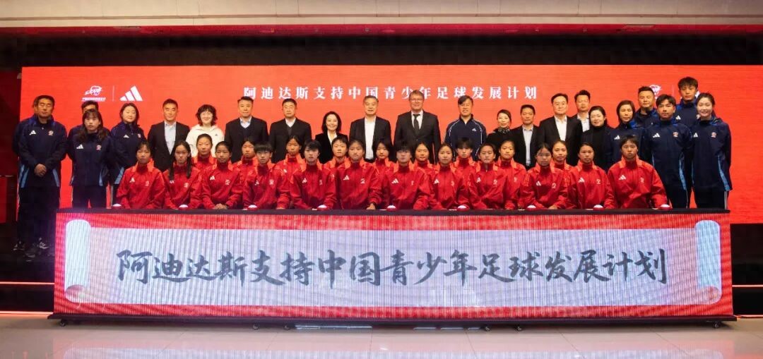 A proactive government meets an effective market — Implementation of a long-term plan for youth football