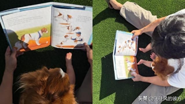 Shohei Ohtani shares a children's book co-authored with his beloved dog, with heartwarming parent-child reading moments melting fans' hearts.