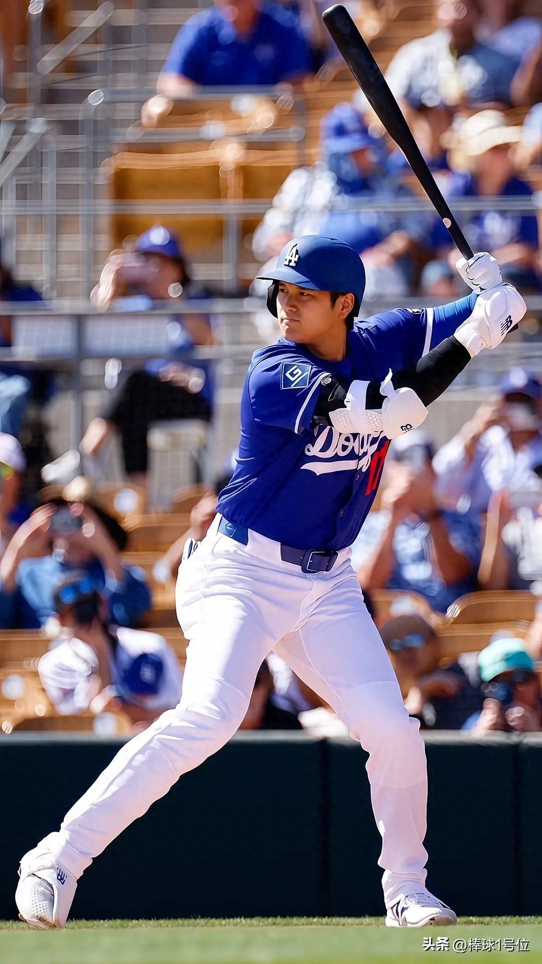 "Baseball Knowledge Science" National Team Athlete Differences Baseball No. 17 Position