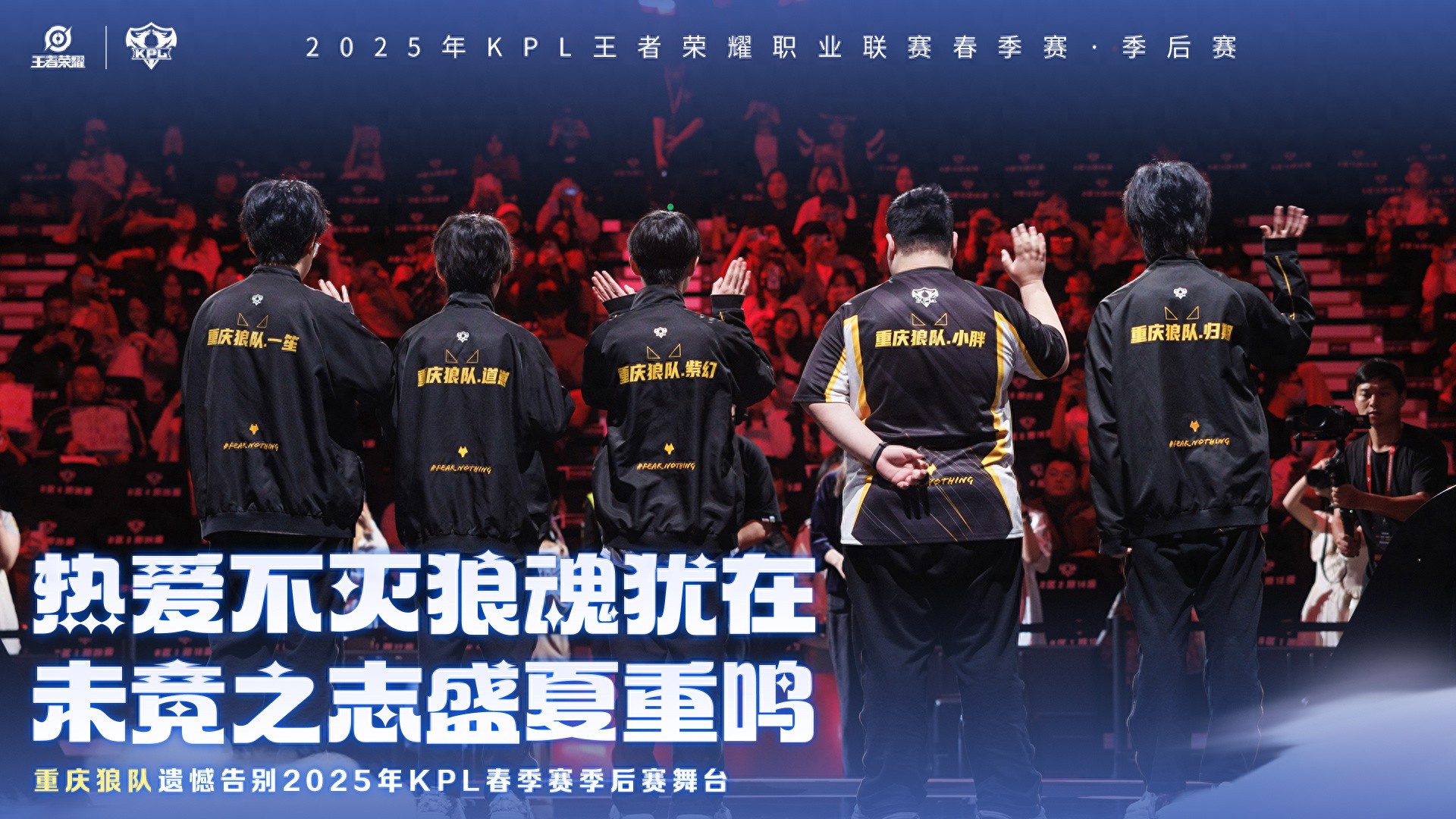 Chubby is listed for 10 million, Nine Tails is 5 million, KSG don't miss it, take it to form a "fat demon combination"!