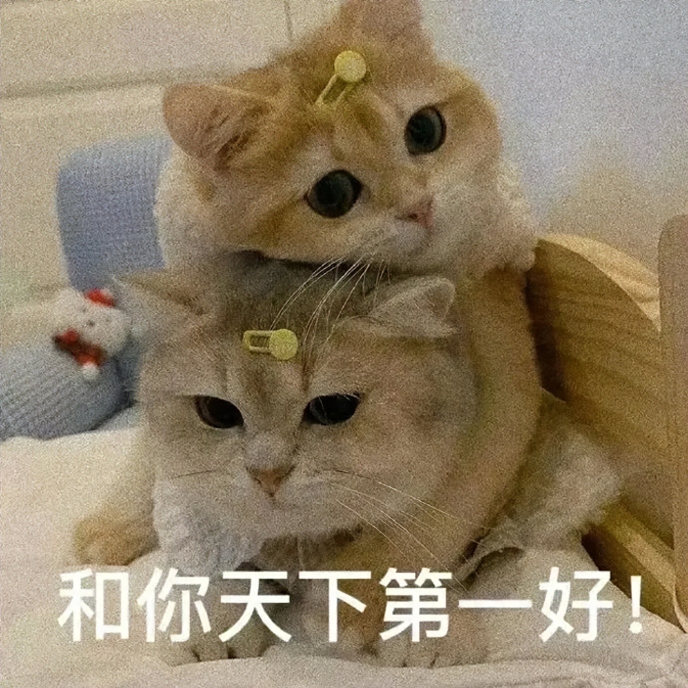 Awesome! Reaves plus three first-round picks! A top reporter reveals Lakers are ready to go all-in for a superstar