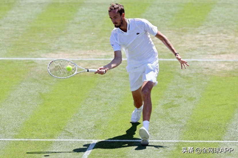 ATP 's-Hertogenbosch: Medvedev made his grass-court debut
