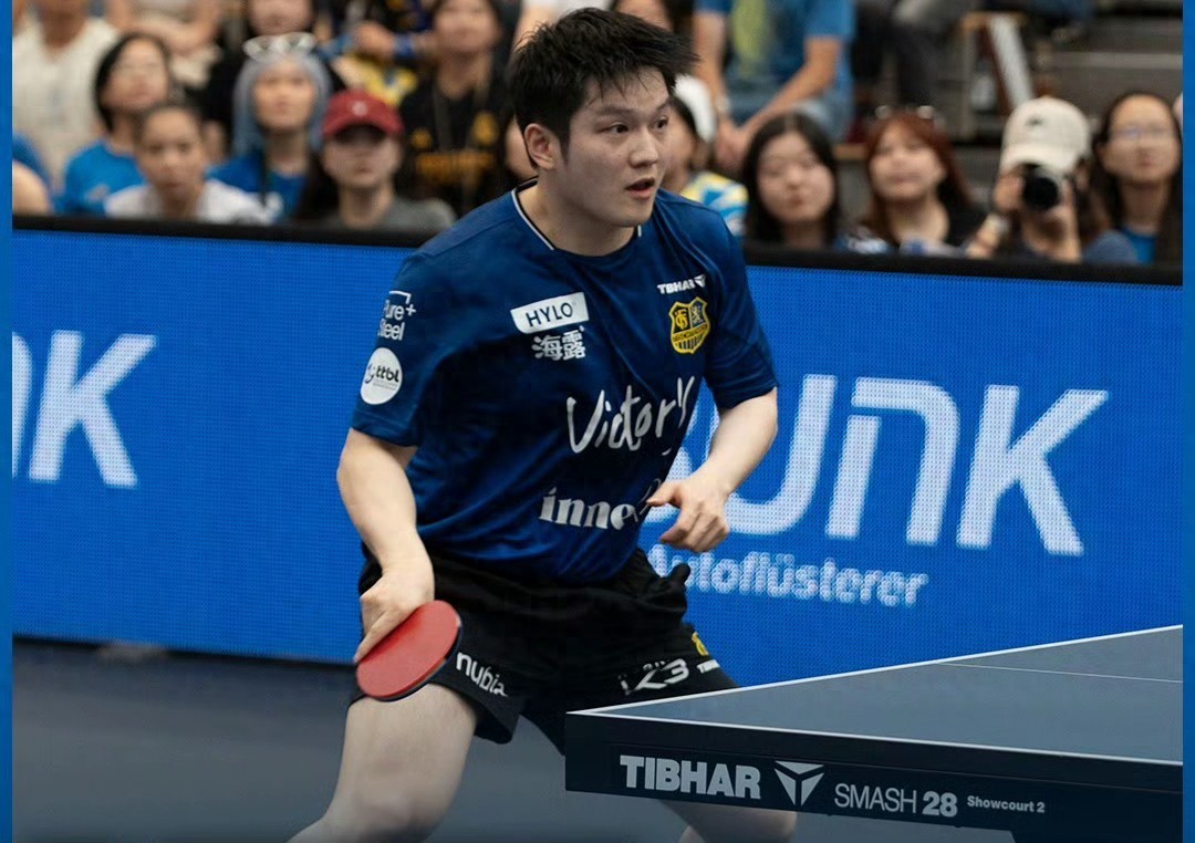 Fan Zhendong&#39;s Bundesliga Round 5 Schedule Tomorrow (10.5): Werder Bremen vs. Saarbrücken, Live on Youku