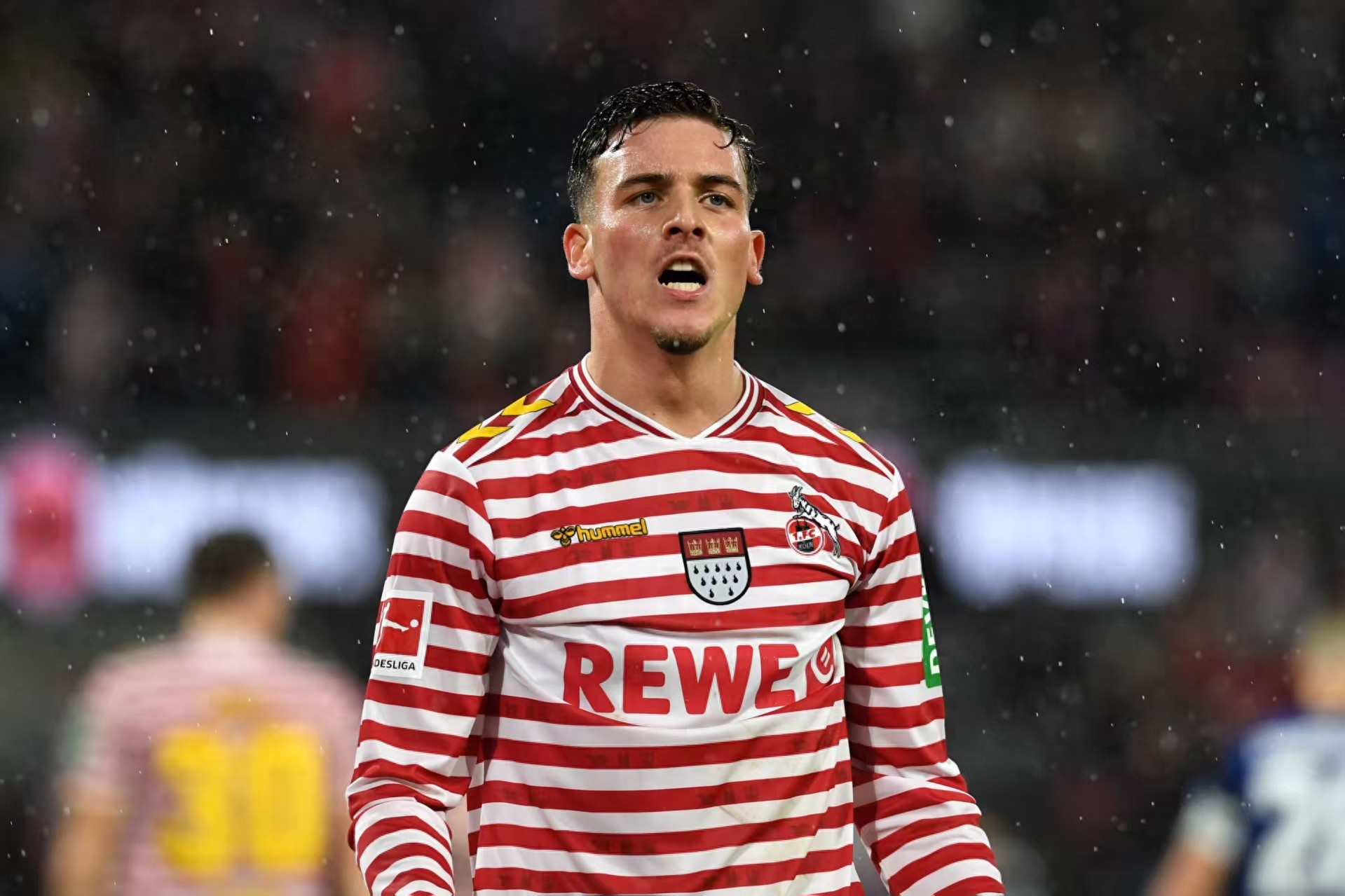 German media: Dortmund wants to sign 19-year-old Malan, Cologne asking price exceeds 50 million euros, 8 goals and 3 assists this season.